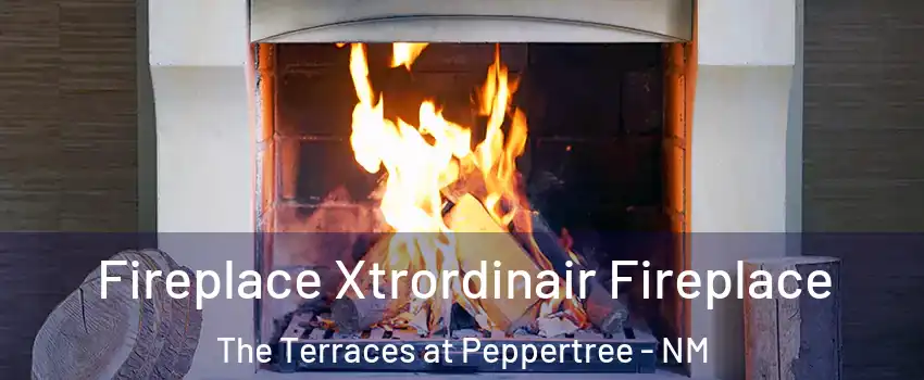 Fireplace Xtrordinair Fireplace The Terraces at Peppertree - NM