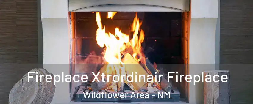 Fireplace Xtrordinair Fireplace Wildflower Area - NM