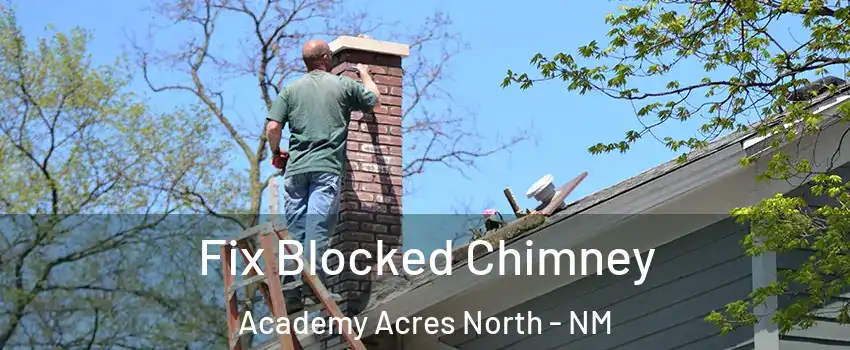 Fix Blocked Chimney Academy Acres North - NM