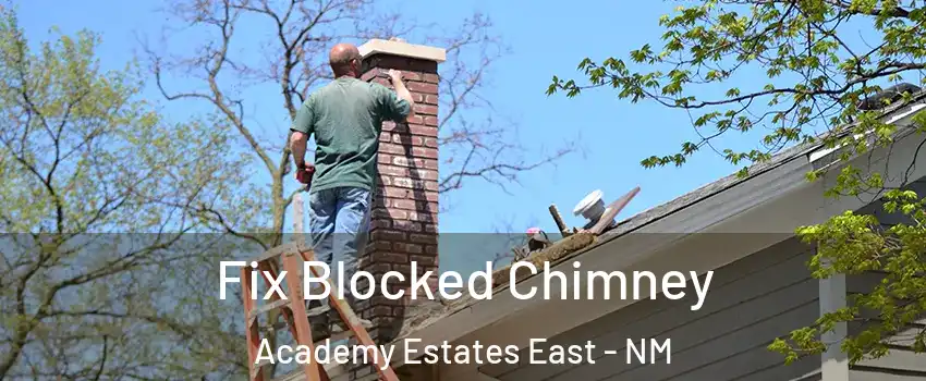 Fix Blocked Chimney Academy Estates East - NM