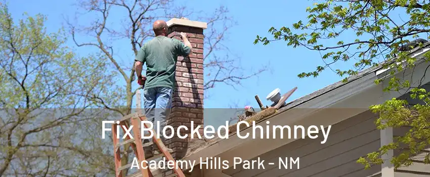 Fix Blocked Chimney Academy Hills Park - NM