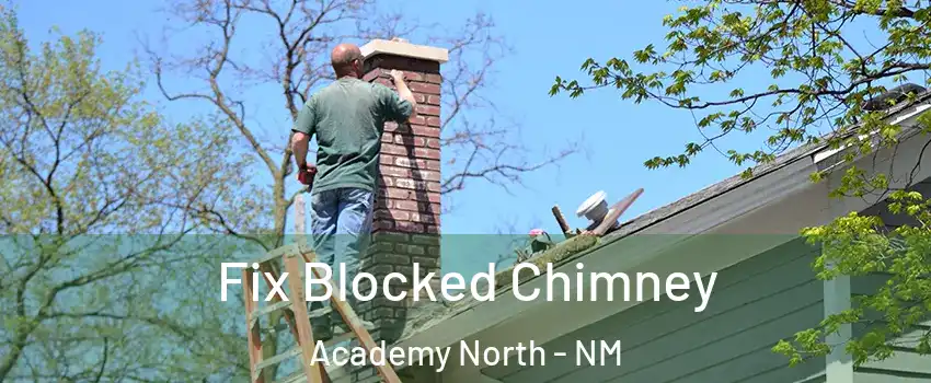 Fix Blocked Chimney Academy North - NM