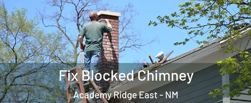 Fix Blocked Chimney Academy Ridge East - NM