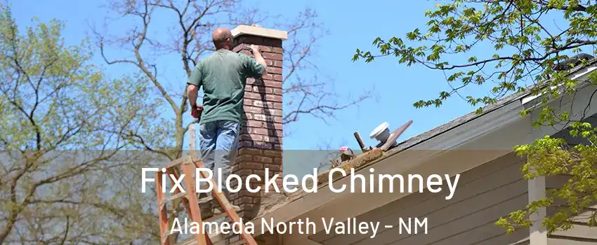Fix Blocked Chimney Alameda North Valley - NM