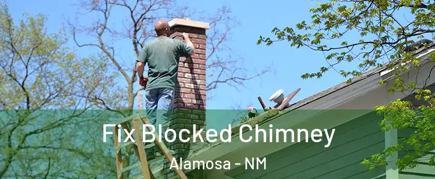 Fix Blocked Chimney Alamosa - NM