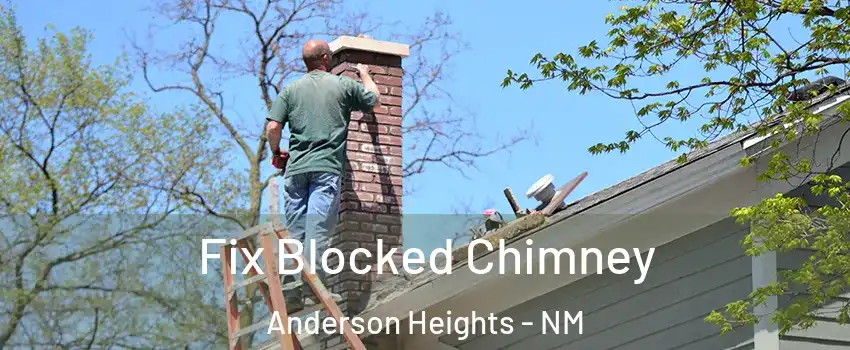 Fix Blocked Chimney Anderson Heights - NM