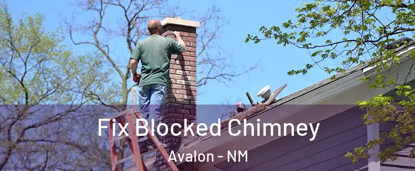 Fix Blocked Chimney Avalon - NM