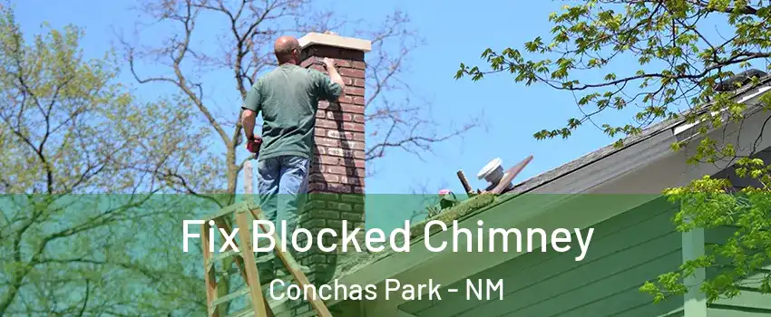 Fix Blocked Chimney Conchas Park - NM