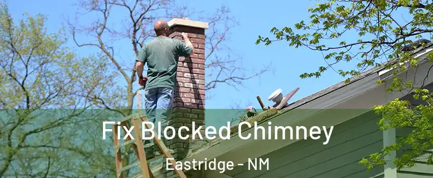 Fix Blocked Chimney Eastridge - NM
