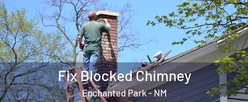 Fix Blocked Chimney Enchanted Park - NM