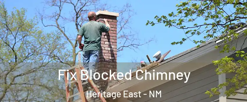 Fix Blocked Chimney Heritage East - NM