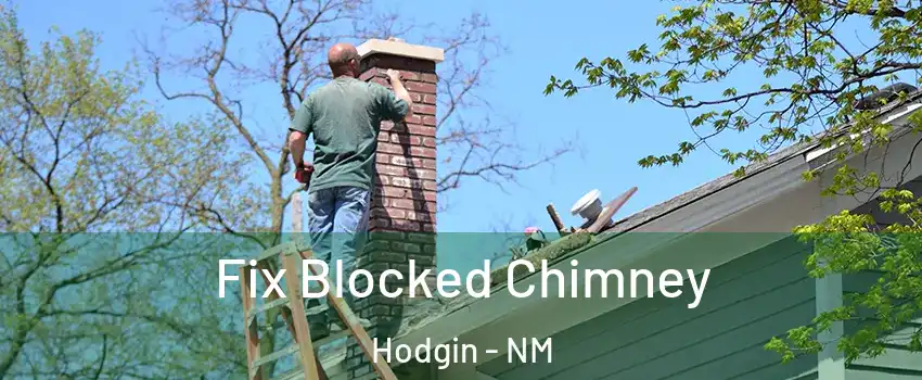 Fix Blocked Chimney Hodgin - NM