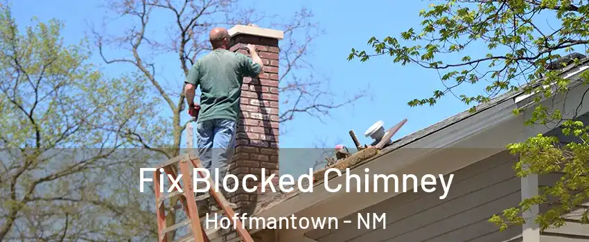Fix Blocked Chimney Hoffmantown - NM