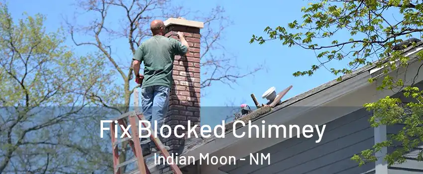 Fix Blocked Chimney Indian Moon - NM