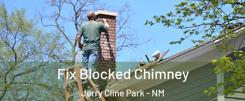 Fix Blocked Chimney Jerry Cline Park - NM