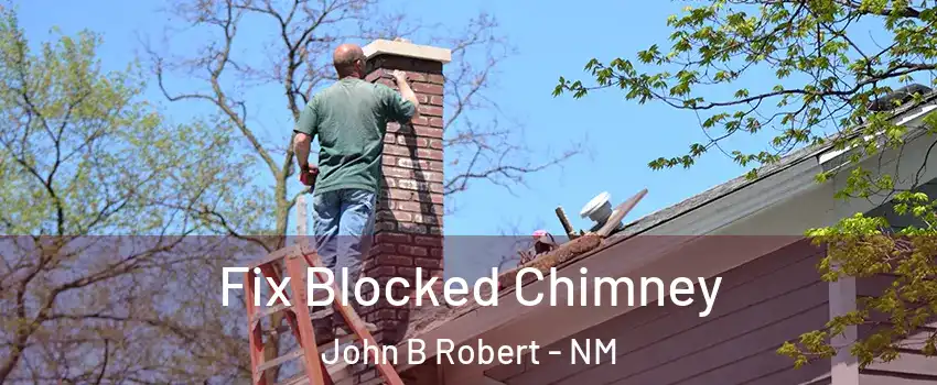 Fix Blocked Chimney John B Robert - NM