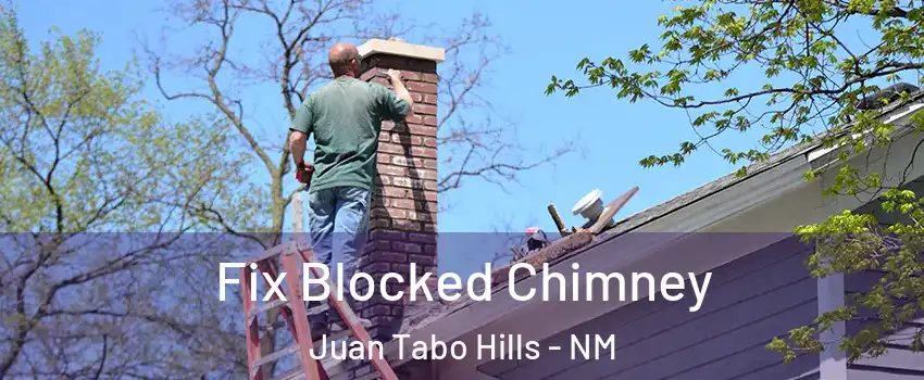 Fix Blocked Chimney Juan Tabo Hills - NM