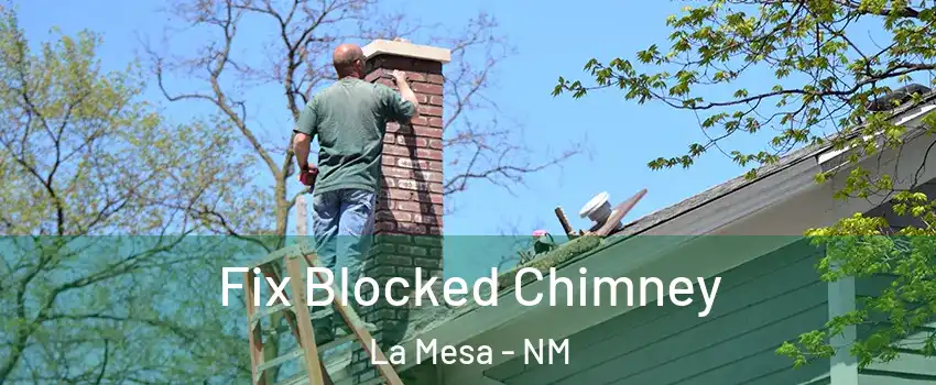 Fix Blocked Chimney La Mesa - NM