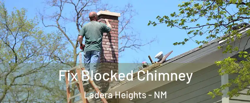 Fix Blocked Chimney Ladera Heights - NM