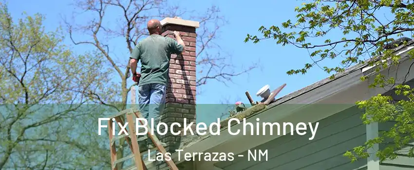 Fix Blocked Chimney Las Terrazas - NM