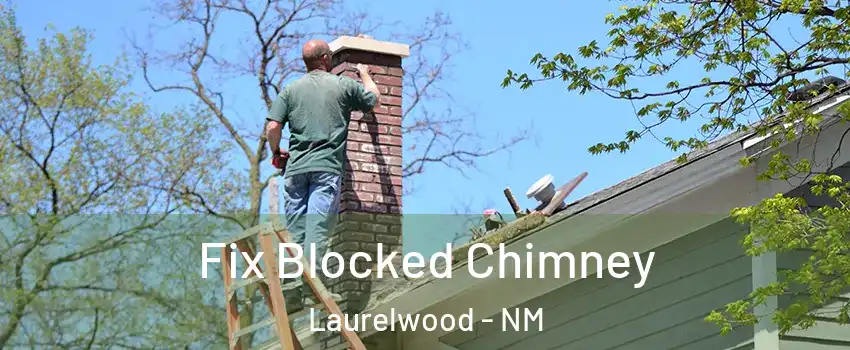 Fix Blocked Chimney Laurelwood - NM