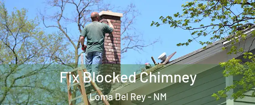 Fix Blocked Chimney Loma Del Rey - NM