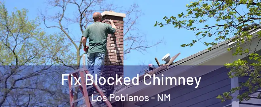Fix Blocked Chimney Los Poblanos - NM