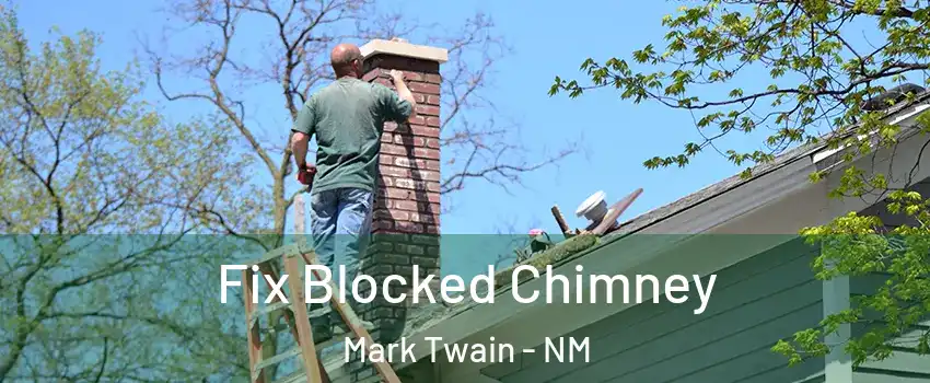 Fix Blocked Chimney Mark Twain - NM