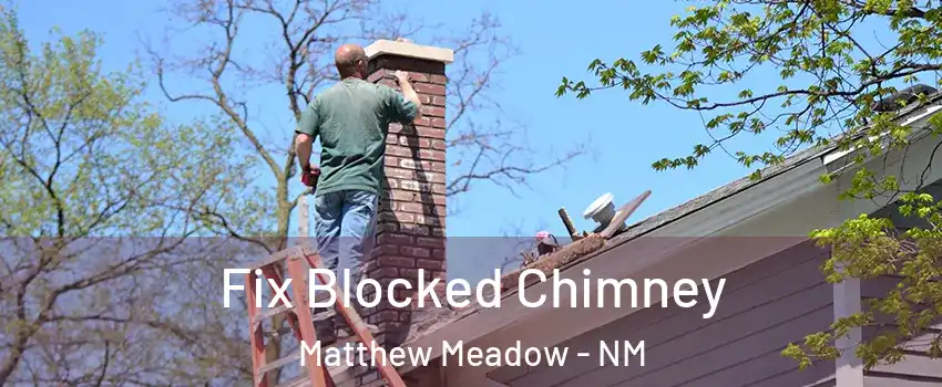 Fix Blocked Chimney Matthew Meadow - NM