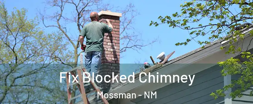 Fix Blocked Chimney Mossman - NM
