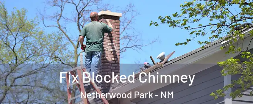 Fix Blocked Chimney Netherwood Park - NM