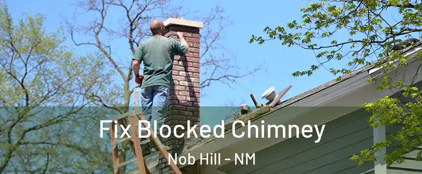 Fix Blocked Chimney Nob Hill - NM