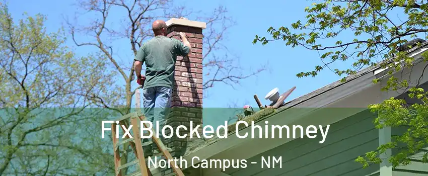 Fix Blocked Chimney North Campus - NM