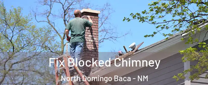 Fix Blocked Chimney North Domingo Baca - NM