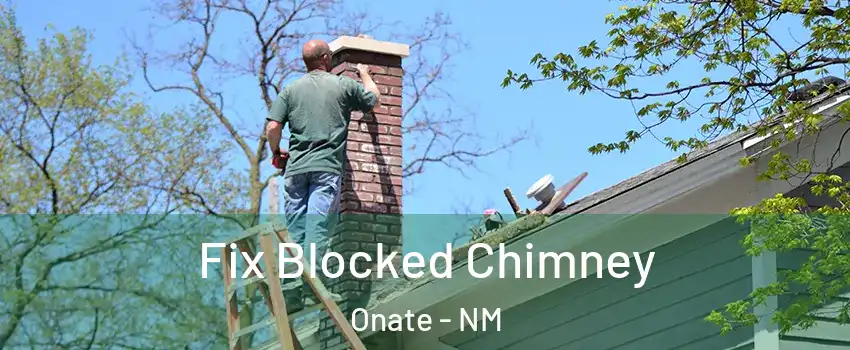 Fix Blocked Chimney Onate - NM