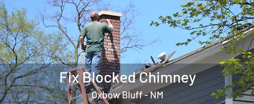 Fix Blocked Chimney Oxbow Bluff - NM