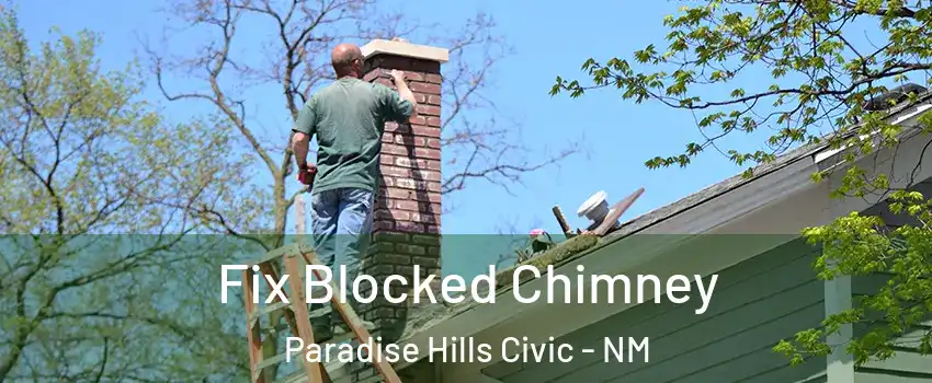 Fix Blocked Chimney Paradise Hills Civic - NM