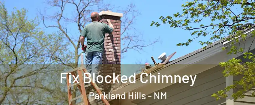 Fix Blocked Chimney Parkland Hills - NM