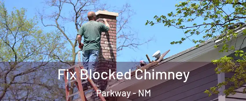 Fix Blocked Chimney Parkway - NM