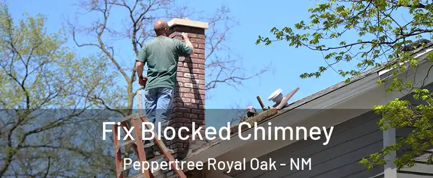 Fix Blocked Chimney Peppertree Royal Oak - NM