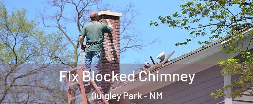 Fix Blocked Chimney Quigley Park - NM