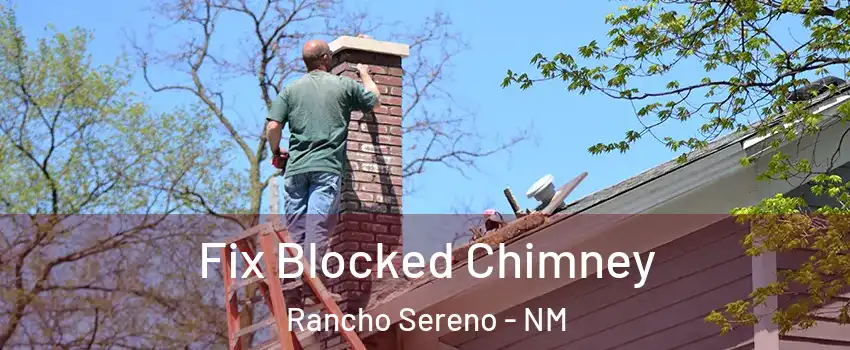 Fix Blocked Chimney Rancho Sereno - NM
