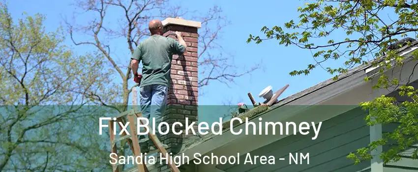 Fix Blocked Chimney Sandia High School Area - NM