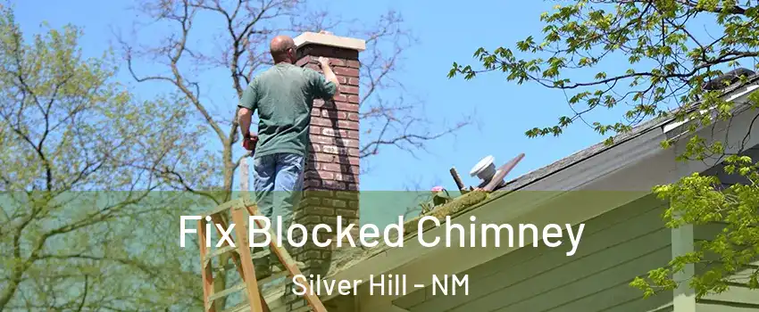 Fix Blocked Chimney Silver Hill - NM