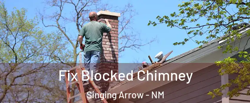 Fix Blocked Chimney Singing Arrow - NM