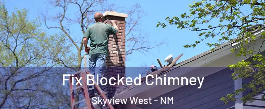 Fix Blocked Chimney Skyview West - NM