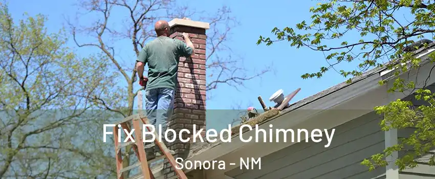 Fix Blocked Chimney Sonora - NM