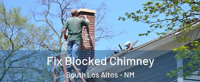 Fix Blocked Chimney South Los Altos - NM