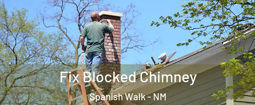 Fix Blocked Chimney Spanish Walk - NM
