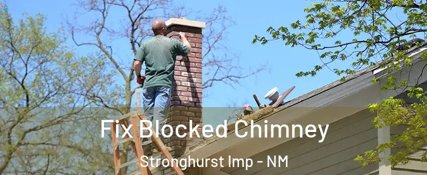 Fix Blocked Chimney Stronghurst Imp - NM